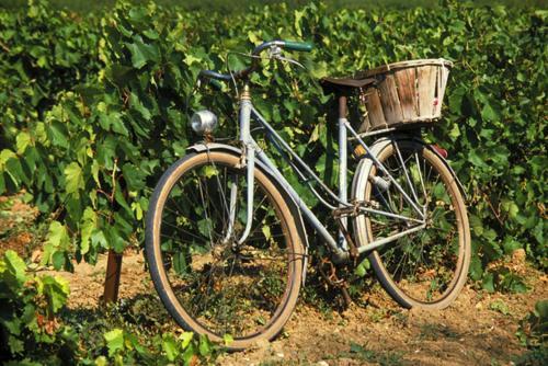 La Maison Grenadine Pres Du Canal Du Midi Tourouzelle Kültér fotó